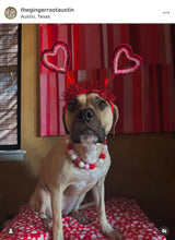 Load image into Gallery viewer, Be My Valentine Bead Collar