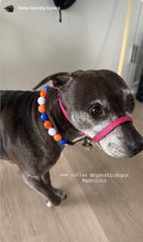 Load image into Gallery viewer, 🏀 Basketball NBA Team Colors Bead Collar - Pick Your Team