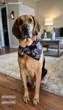 Load image into Gallery viewer, Scream Street Halloween Bead Collar
