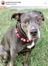 Load image into Gallery viewer, Spellbound Bead Collar