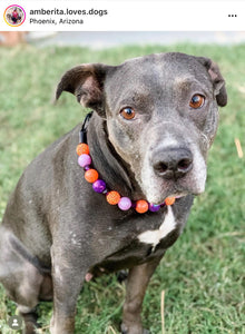 Spellbound Bead Collar