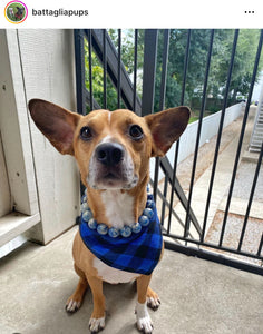 Neptune Blue Bead Collar