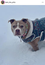Load image into Gallery viewer, Magic Stars Bead Collar