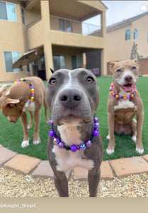 Dark Magic Bead Collar