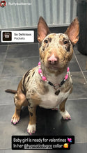 Load image into Gallery viewer, Pink Duchess Hearts 💗 Bead Collar