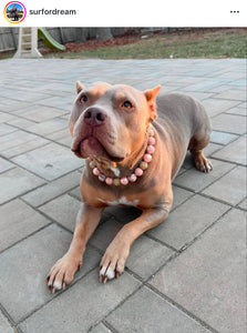 Rose Gold Champagne Bead Collar