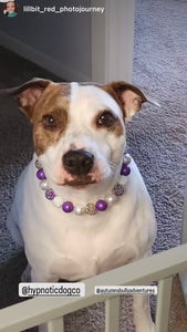 Purple Glitz Bead Collar