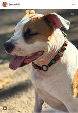 Load image into Gallery viewer, Grinchmas 🎄 Bead Collar