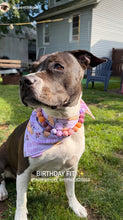 Load image into Gallery viewer, Citrus Berry Glam Bead Collar