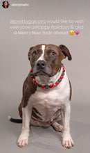 Load image into Gallery viewer, Christmas Glam Bead Collar