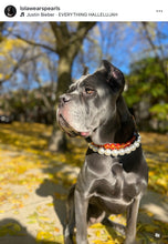 Load image into Gallery viewer, Amber Empress Resin Bead Collar