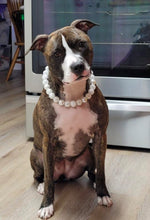 Load image into Gallery viewer, Icicle Bead Collar
