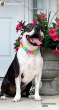 Load image into Gallery viewer, Tropical Punch Bead Collar
