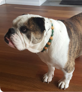 Bamboo Forest Wooden Bead Collar