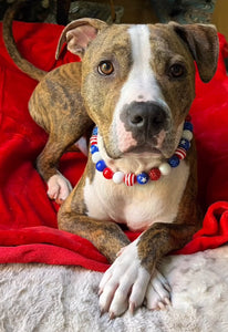 Americana Glam Bead Collar