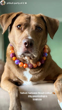 Load image into Gallery viewer, Velvet Autumn Bead Collar