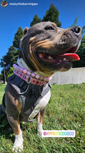 Load image into Gallery viewer, Pink Rodeo Bead Collar