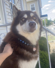 Load image into Gallery viewer, Starry Night Resin Bead Collar
