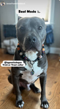 Load image into Gallery viewer, Trick or Treat Bead Collar