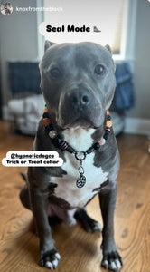 Trick or Treat Bead Collar