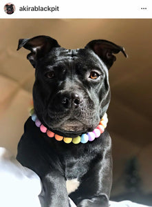 Pastel Rainbow Acrylic Bead Collar