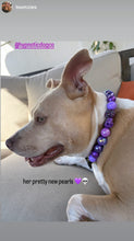 Load image into Gallery viewer, Purple Glitter Skull Bead Collar