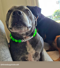 Load image into Gallery viewer, Neon Green Acrylic Bead Collar