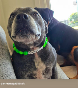 Neon Green Acrylic Bead Collar