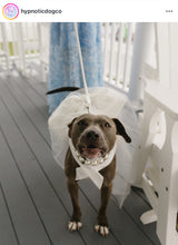 Load image into Gallery viewer, Chunky White Pearls Acrylic Bead Collar