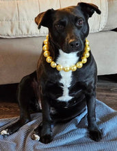 Load image into Gallery viewer, Chunky Golden Yellow Pearls Acrylic Bead Collar