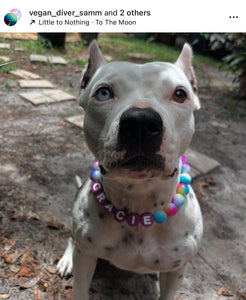 Rainbow Tie Dye Acrylic Bead Collar