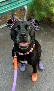 Spellbound Bead Collar