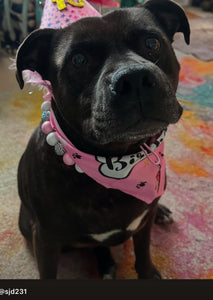 Pink Glitz Bead Collar