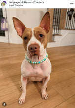 Load image into Gallery viewer, Breezy XS Mermaid Pearl Bead Collar