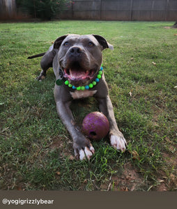 Neon Tropic Glow Acrylic Bead Collar