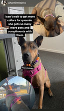 Load image into Gallery viewer, Witching Hour Halloween Bead Collar