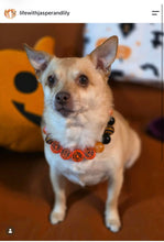 Load image into Gallery viewer, Add-on Only: Halloween Personalized Alphabet Letter Beads (Custom Names)