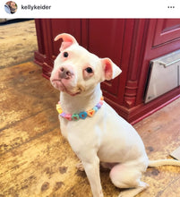 Load image into Gallery viewer, PERSONALIZED Candy Sweetheart Bead Collar