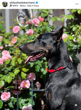 Load image into Gallery viewer, Red Blackjack Acrylic Bead Collar