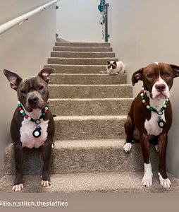 Holly Jolly Christmas Bead Collar
