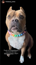 Load image into Gallery viewer, Pastel Rainbow Acrylic Bead Collar