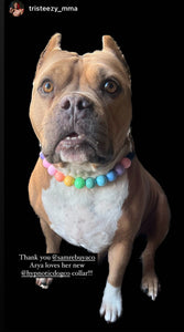 Pastel Rainbow Acrylic Bead Collar