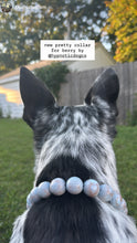 Load image into Gallery viewer, Sky Blue Resin Bead Collar