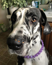 Load image into Gallery viewer, Amethyst Acrylic Bead Collar