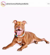 Load image into Gallery viewer, Spring Bloom Acrylic Bead Collar