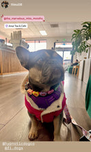 Load image into Gallery viewer, PERSONALIZED Candy Sweetheart Bead Collar