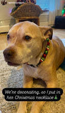 Load image into Gallery viewer, Grinchmas 🎄 Bead Collar