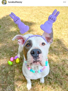 Spring POP Bead Collar