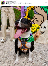 Load image into Gallery viewer, Midnight Cauldron Halloween Glow Bead Collar