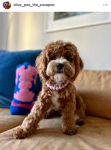 Load image into Gallery viewer, Rose Pink Swirl Acrylic MINI [Small Dog/Cat Bead Collar]